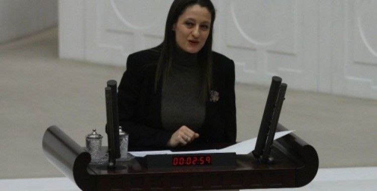 CHP Milletvekili Şafak Pavey istifa etti