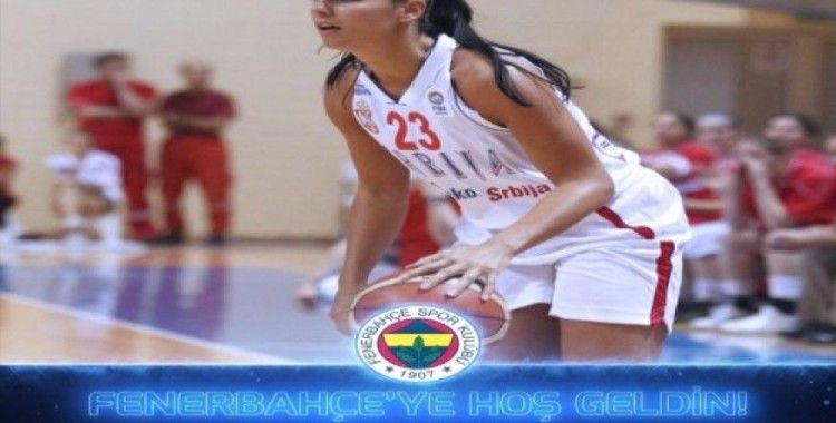 Ana Dabovic Fenerbahçe'de
