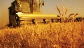 Hasat %91 oranda tamamlandı