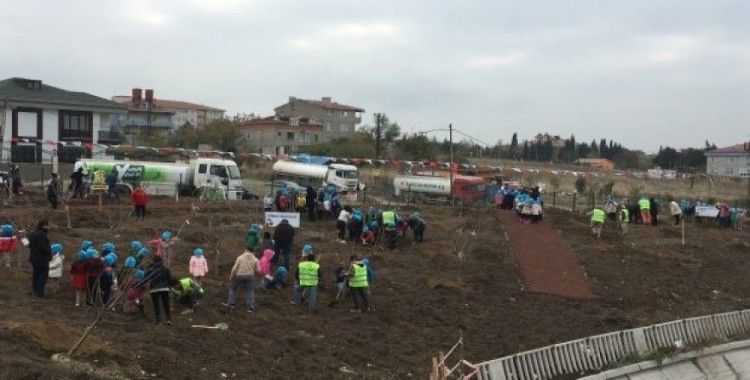 İstanbul’a dev meyve ormanı