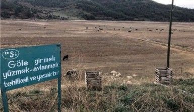 Levhası var kendi yok