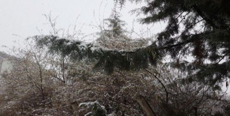 Bingöl'e yılın ilk karı yağdı 