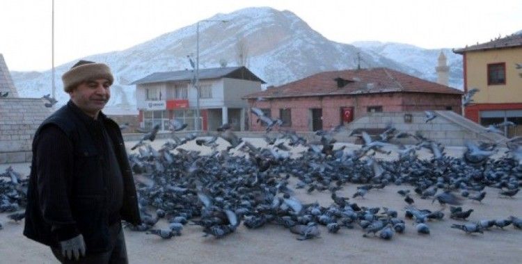 Soğuk havada yemsiz kalan güvercinleri esnaf doyuruyor