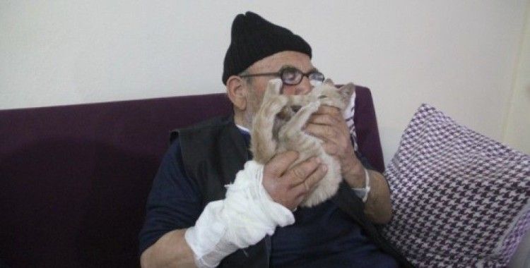 Taburcu olan Ali Meşe, kedisinden bir an olsun ayrılmıyor 