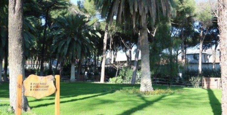 Aydın'da yollar ve parklar kışın da güzel