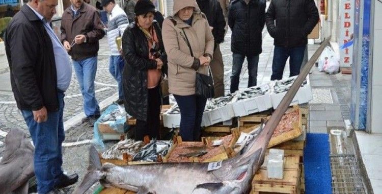 Marmara'da 2,5 metrelik kılıç balığı yakalandı