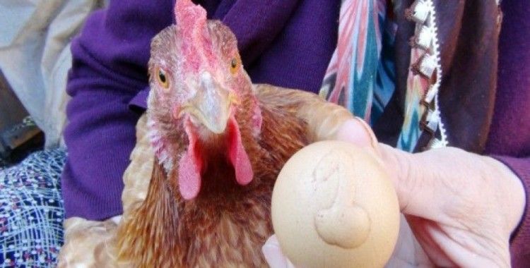 Bu yumurta bin lira 