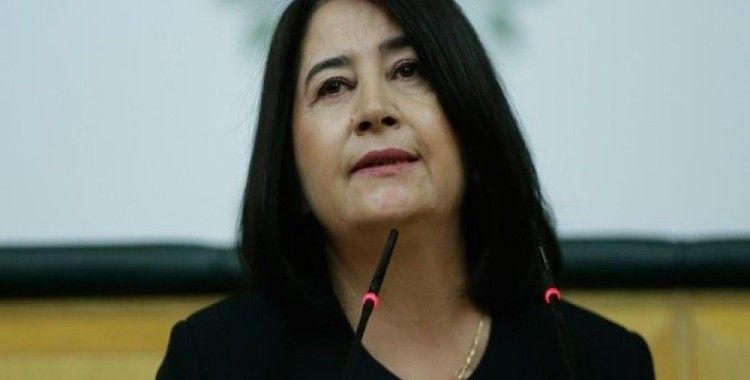 Eski HDP Eş Genel Başkanı Serpil Kemalbay gözaltına alındı