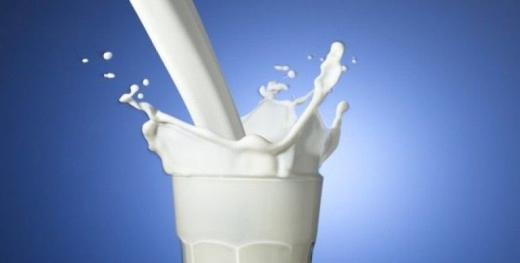 Süt ve süt ürünleri üretimi istatistikleri açıklandı 