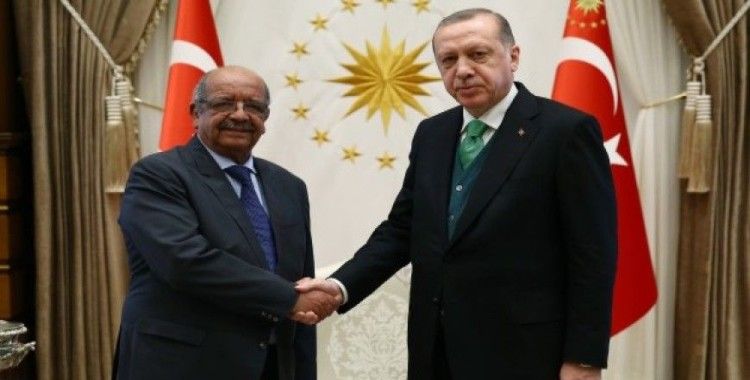 Cumhurbaşkanı Erdoğan, Cezayir Dışişleri Bakanı'nı kabul etti 