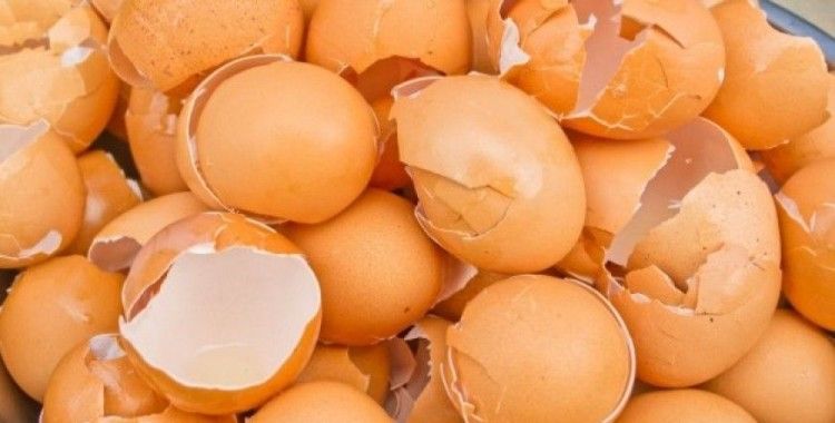 Yumurta zarı eklem ağrılarını azaltıyor