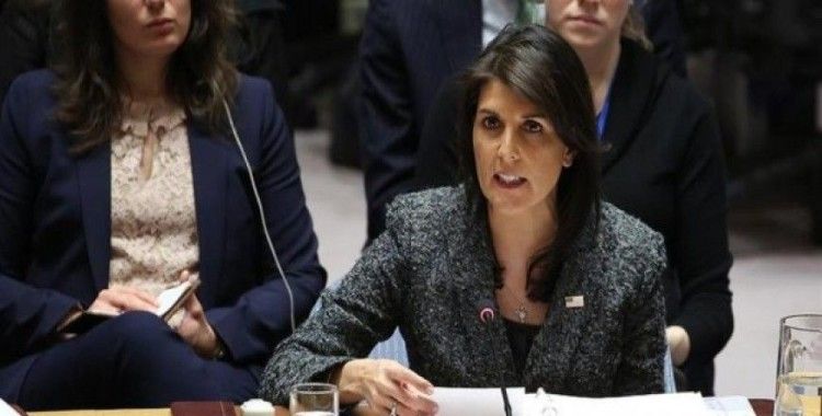 ​ABD'den BMGK'ye Suriye'de yeni ateşkes teklifi