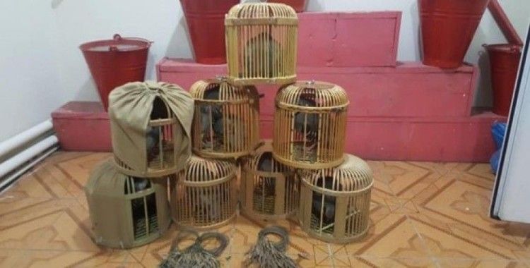 Kars'ta kaçak keklik avcılarına ceza
