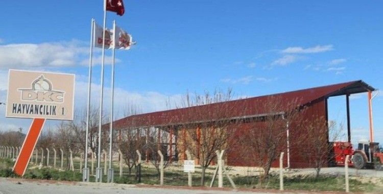 Konya'da 'sütbank' soruşturması başlatıldı