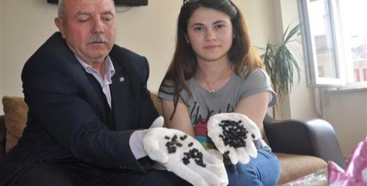 ​Bursa'da 'böcek istilası' iddiasıyla ilgili açıklama