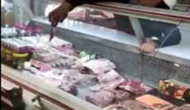 Kasap ile kedi arasında ilginç diyalog