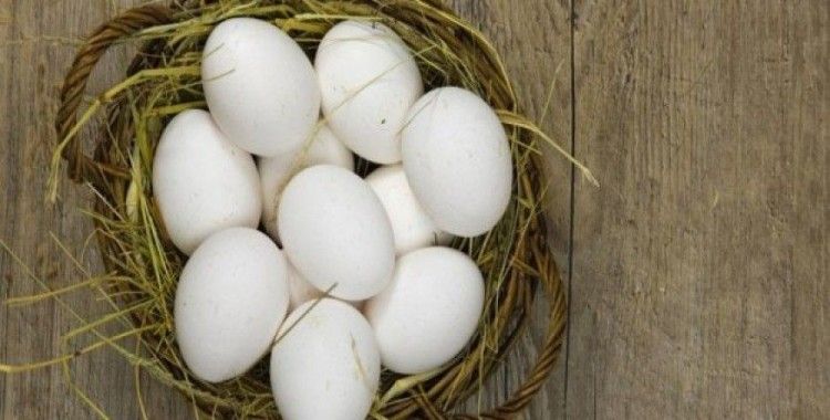 'Köy yumurtası hilesi'ni bitirecek uygulama başlıyor