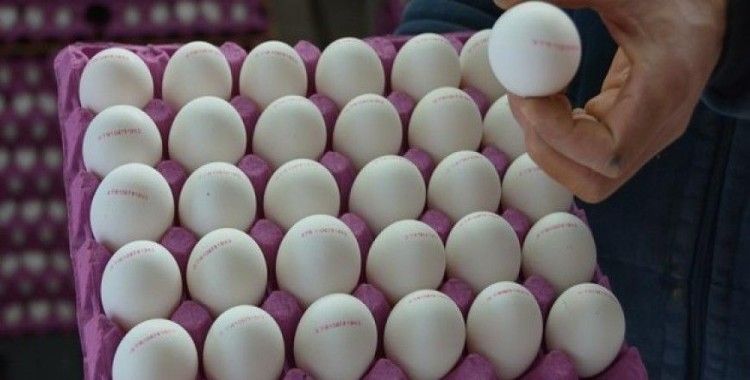 Yumurta karmaşasına barkodlu çözüm