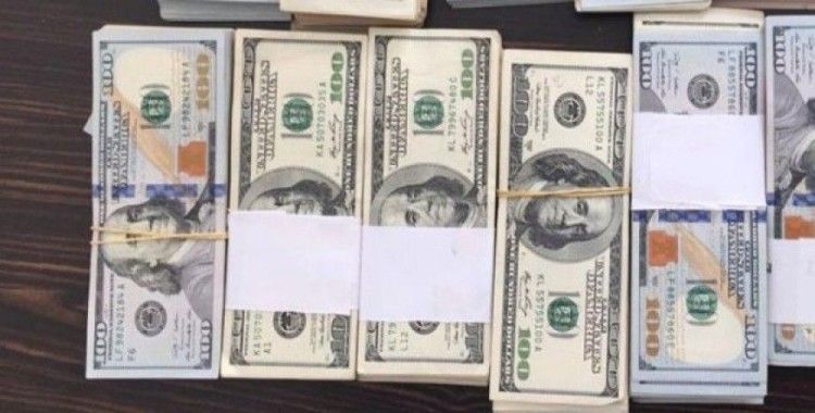 Fetö şüphelisi üzerinde 61 bin dolarla yakalandı