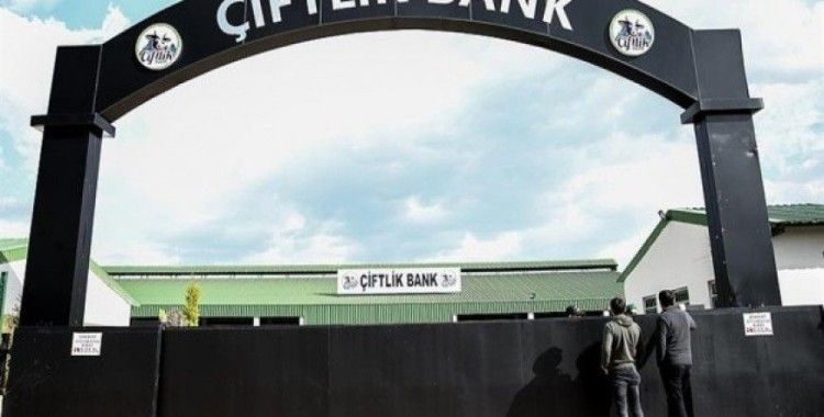 Bulgaristan'ın iade ettiği Çiftlik Bank firarisi adliyede
