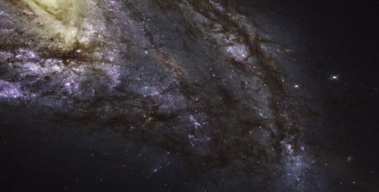 Hubble'in çektiği en yakın galaksilerin görüntülerini yayımladı