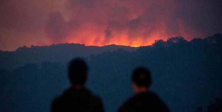 ​ABD'de orman yangını çıkartana rekor ceza