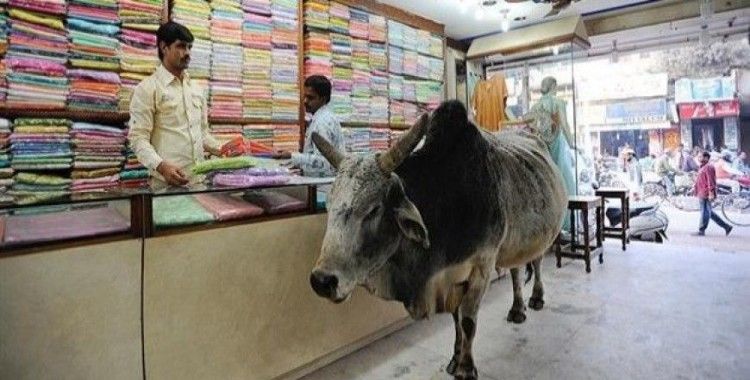 ​Hindistan'da inek kestiği iddia edilen Müslüman linç edildi