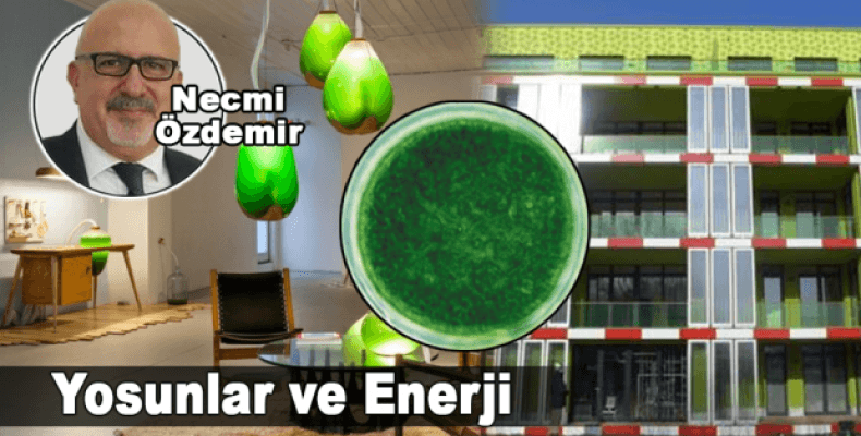 Yosunlar ve Enerji