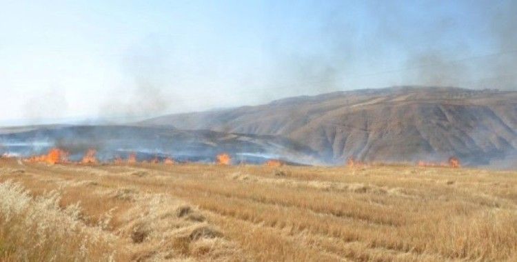 Siirt'te 20 anız yangınına müdahale edildi