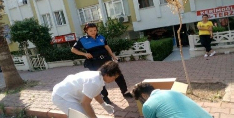 Kadın polis memuru yaralı kediye duyarsız kalamadı 