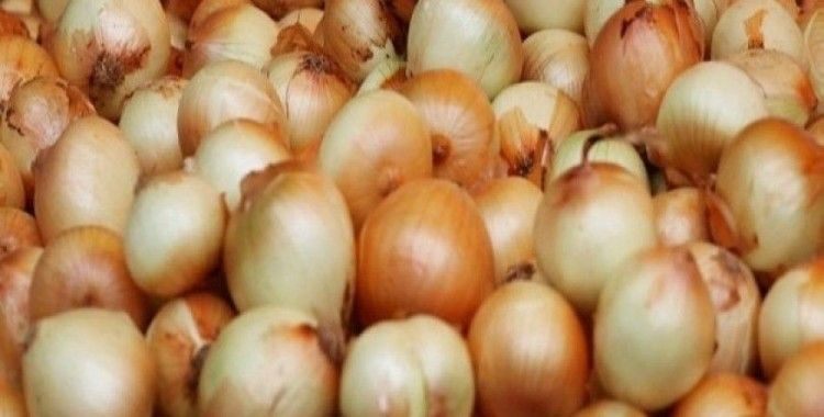 ​Soğan üreticisinin en büyük sıkıntısı 'aracılar' ve 'depolama'