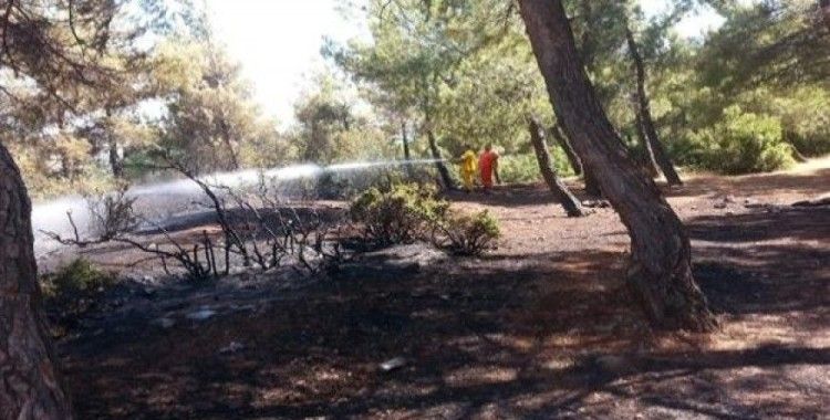 ​Arsuz'da çıkan orman yangını söndürüldü