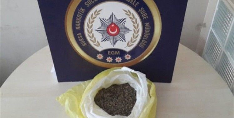 Bursa'da uyuşturucu operasyonu, 9 gözaltı