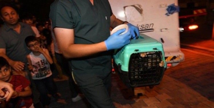 Evde aç ve susuz kalan kediyi belediye ekipleri kurtardı