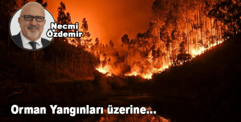 Orman Yangınları üzerine..