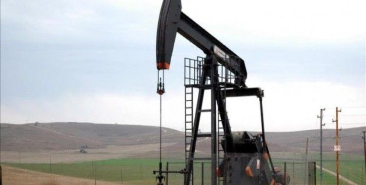 Yüksek petrol fiyatları arama-üretim faaliyetlerine canlılık getirdi