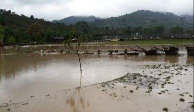 Dilek Yarımadası'nda ormanla iç içe deniz keyfi