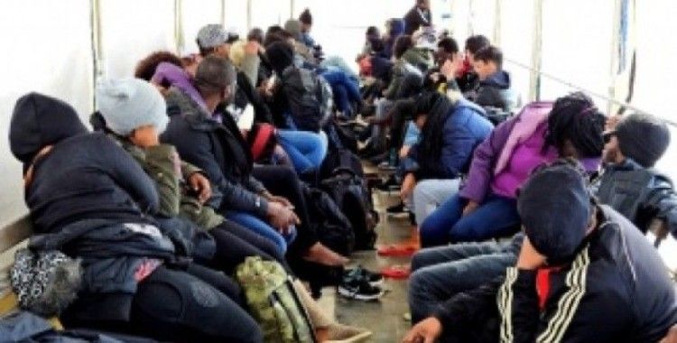 Edirne'de 210 kaçak göçmen yakalandı