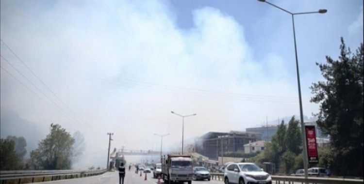 Bursa'da çamlık alanda orman yangını
