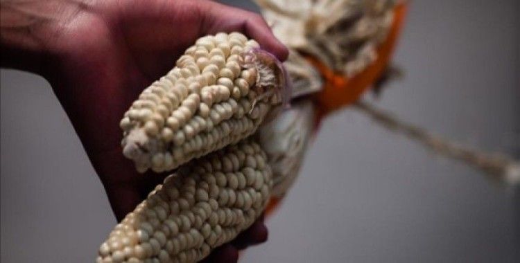 Tarım ilaçları üreticisi Monsanto'ya 289 milyon dolar tazminat cezası