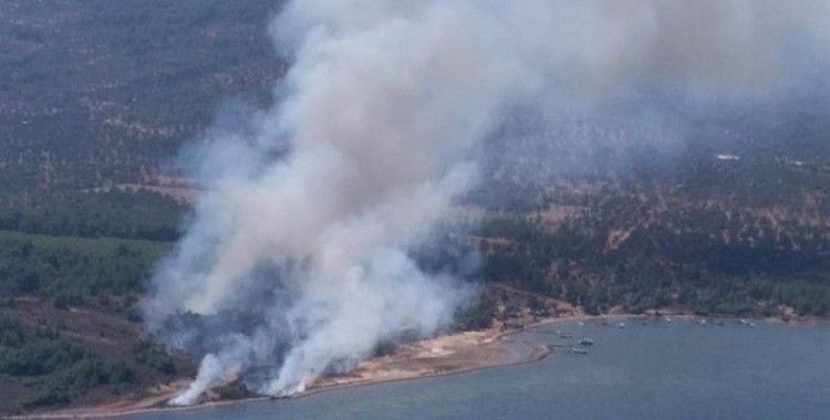 Cunda Adası'nda orman yangını