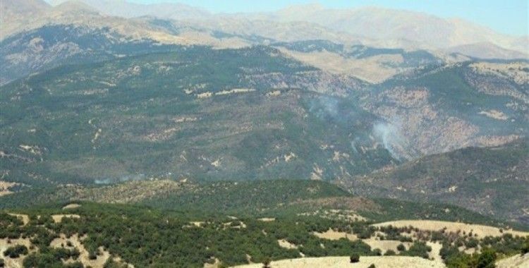 Tunceli'de ormanlık alandaki örtü altı yangını