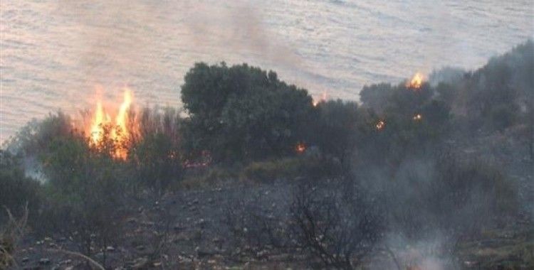 ​Bandırma'da arazi yangını