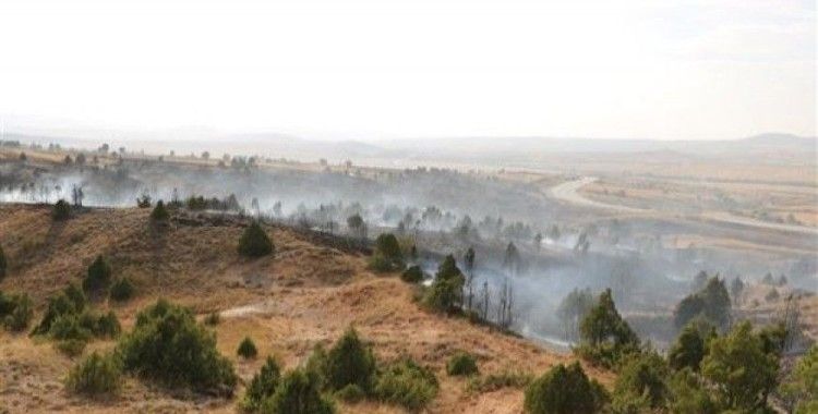 ​Sivas'ta orman yangını korkuttu