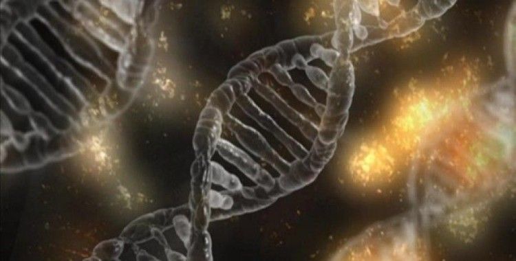 CRISPR ile DNA yerine RNA düzenlenebilecek