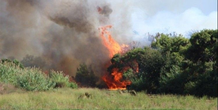 Antalya'daki orman yangını ucuz atlatıldı