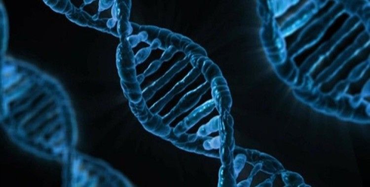 Tüketilen gıdanın DNA'ya net etkileri tespit edildi