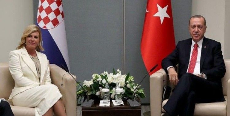 Erdoğan, Hırvatistan Cumhurbaşkanı Kitaroviç ile görüştü