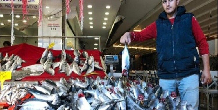 Kestane karası fırtınası balık fiyatlarını etkiled