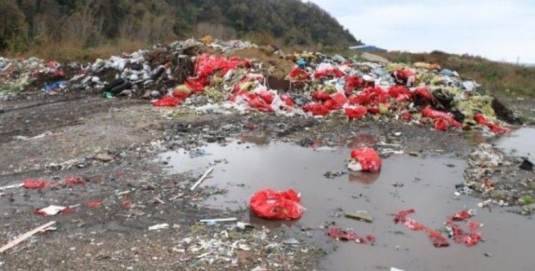 Hatay sahillerinden 4 yılda 4 bin ton atık toplandı
